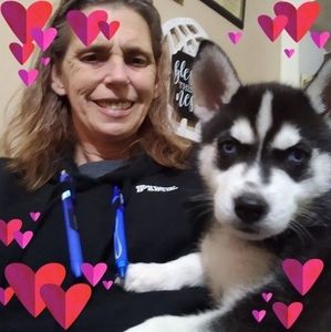 Meet your Posher, Dana tolbert